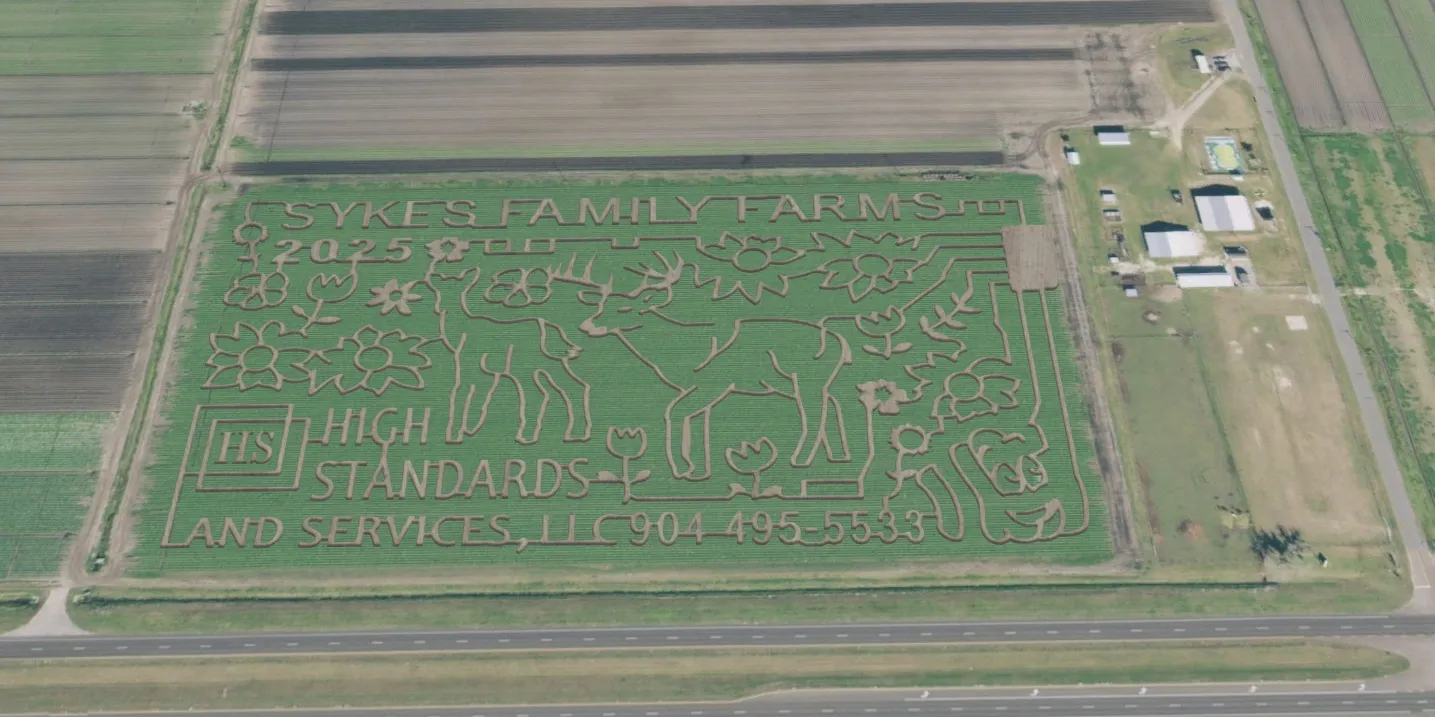 Sykes Farm Corn Maze