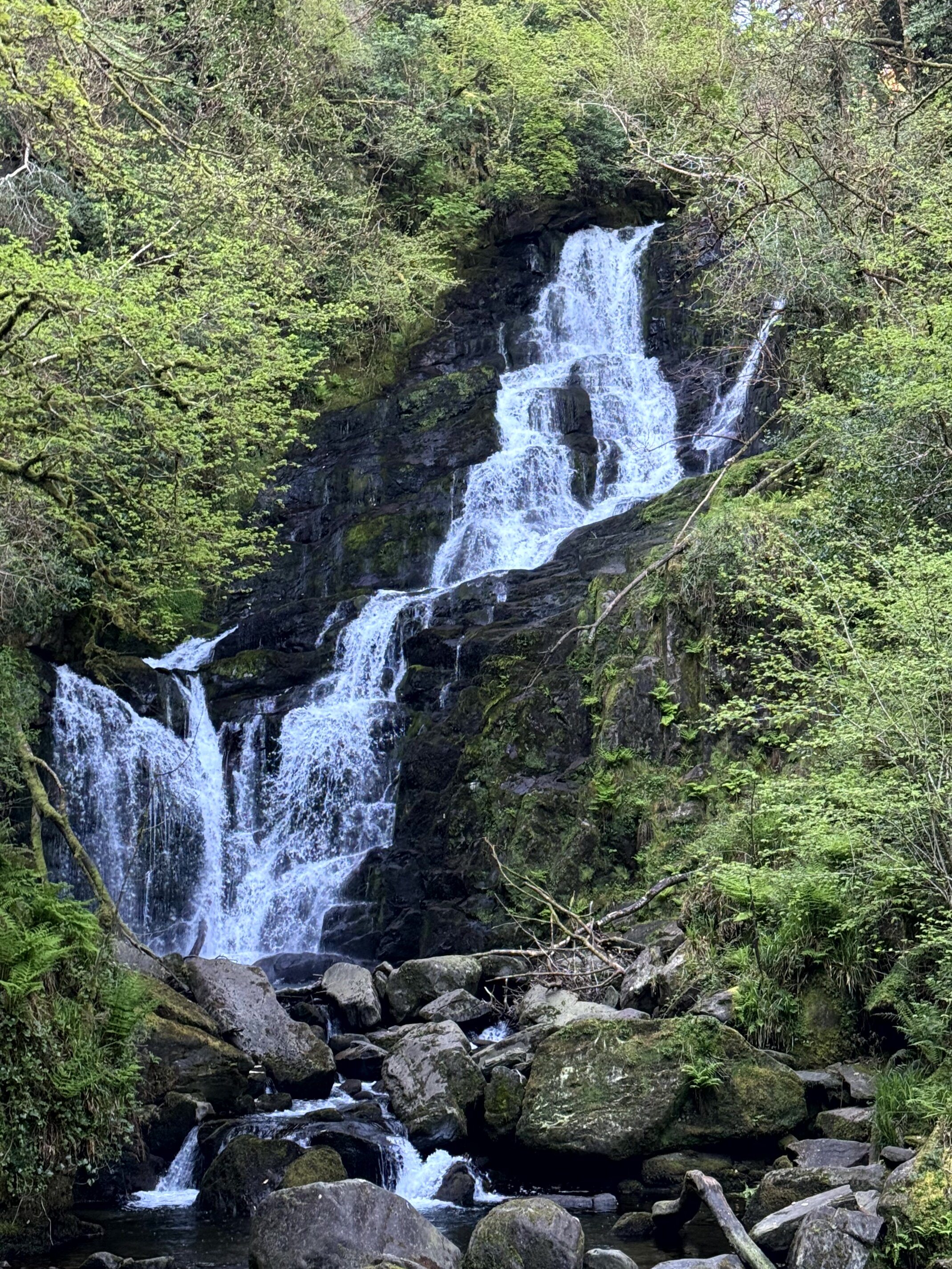 Torc Waterfall, Killarney National Park