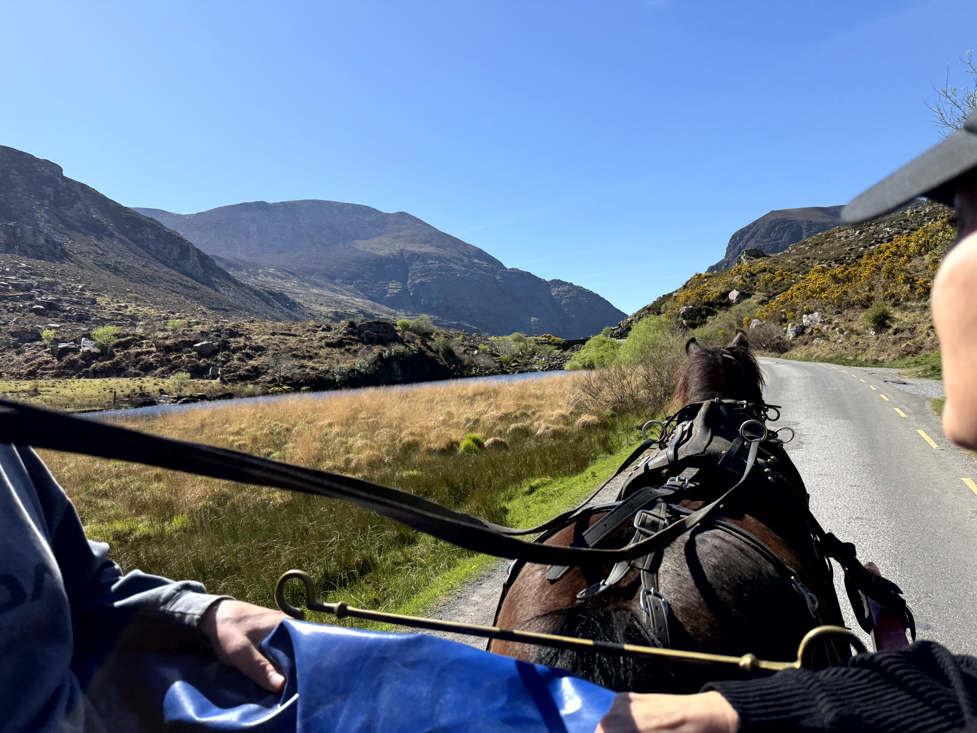 Horse-and-carriage ride through Gap of Dunloe