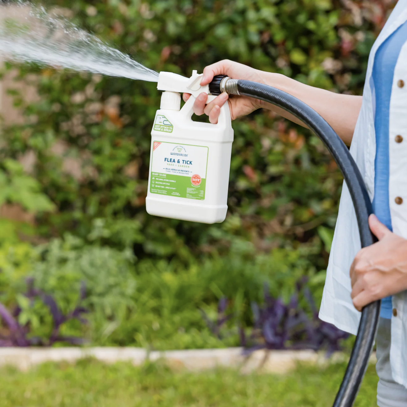 Indoor, Outdoor Pest Control