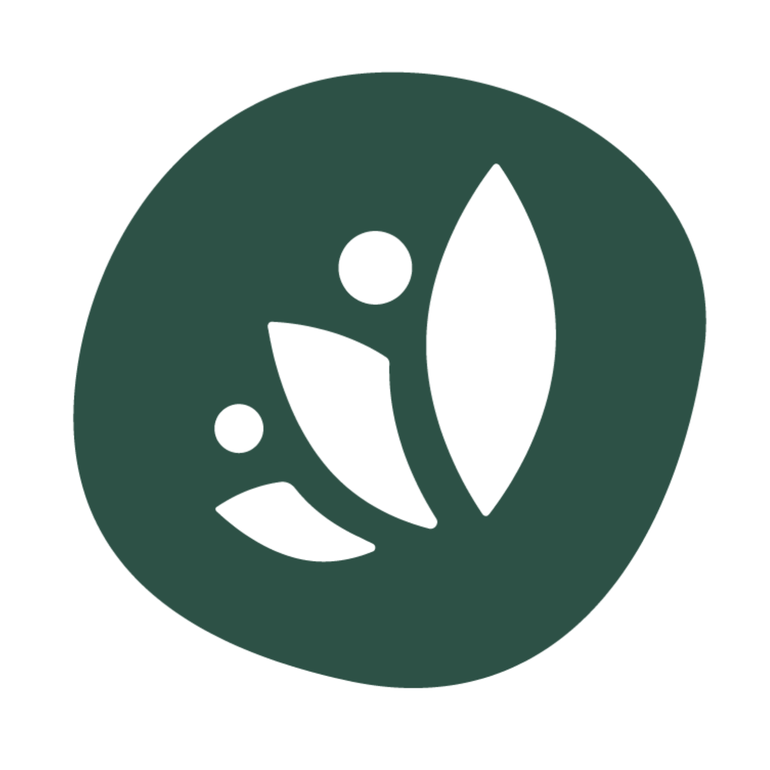 solutions for scale logo icon