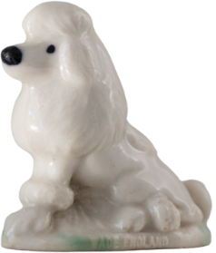 whitedog