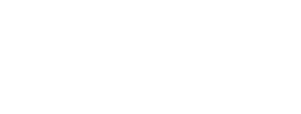 Damen Shipyards