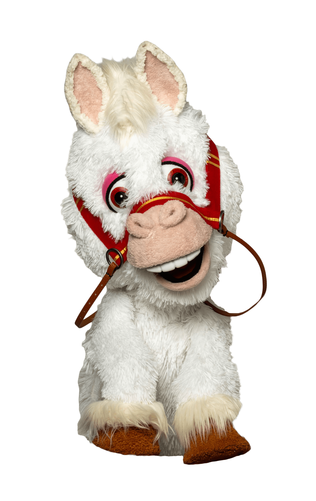 Paardje Ozosnel