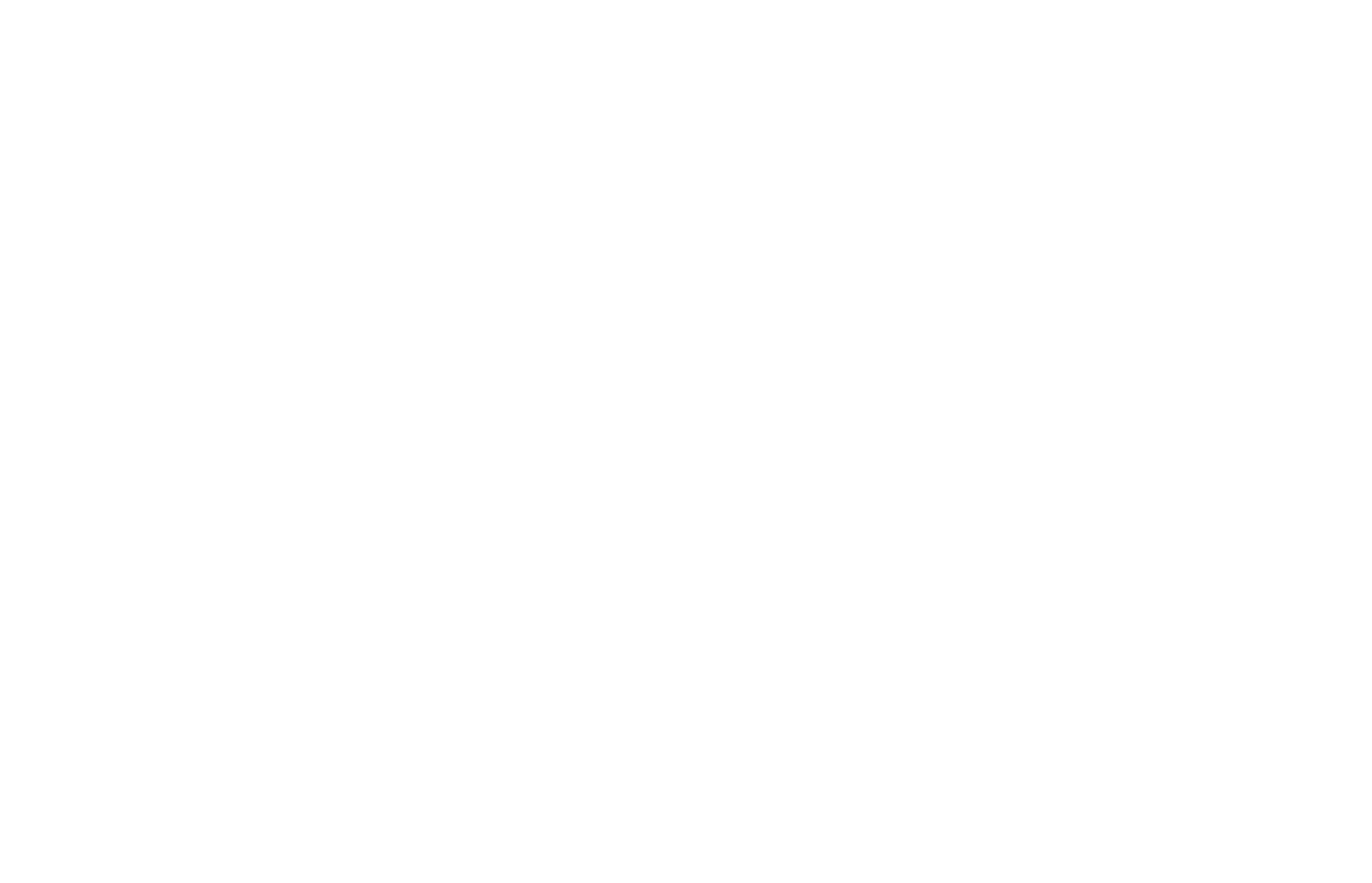 Graduate of The Art of Adventure Weddings and Elopements