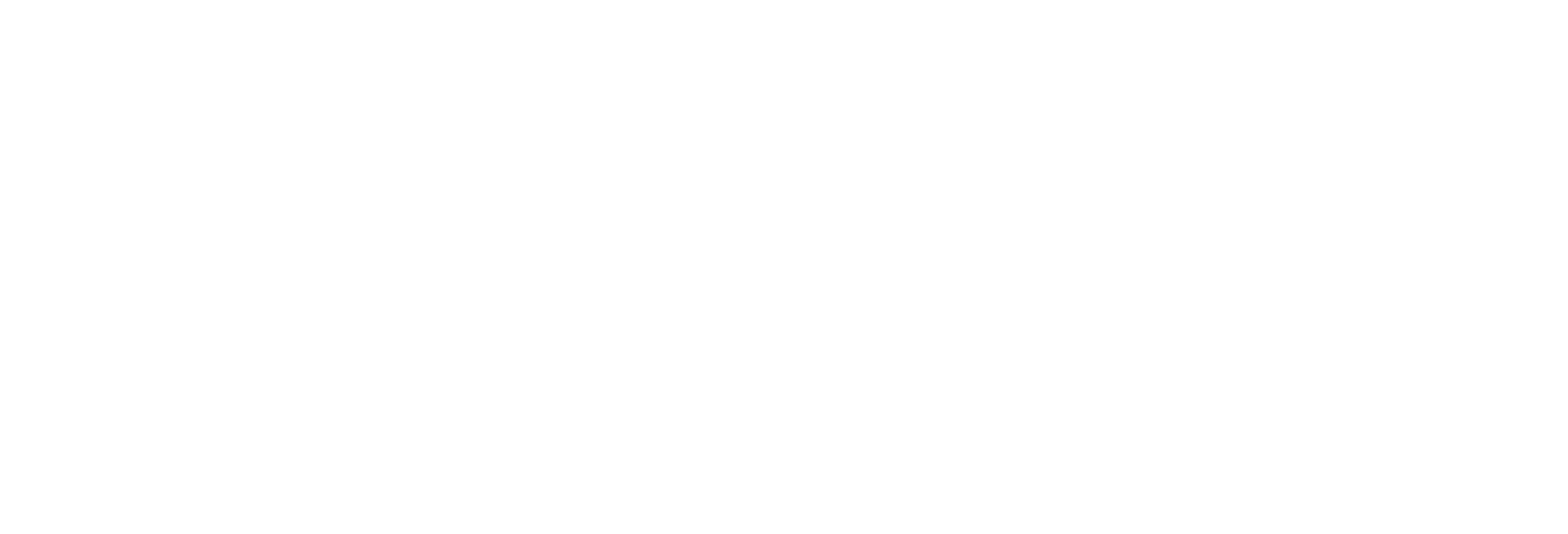 Saltair Logo