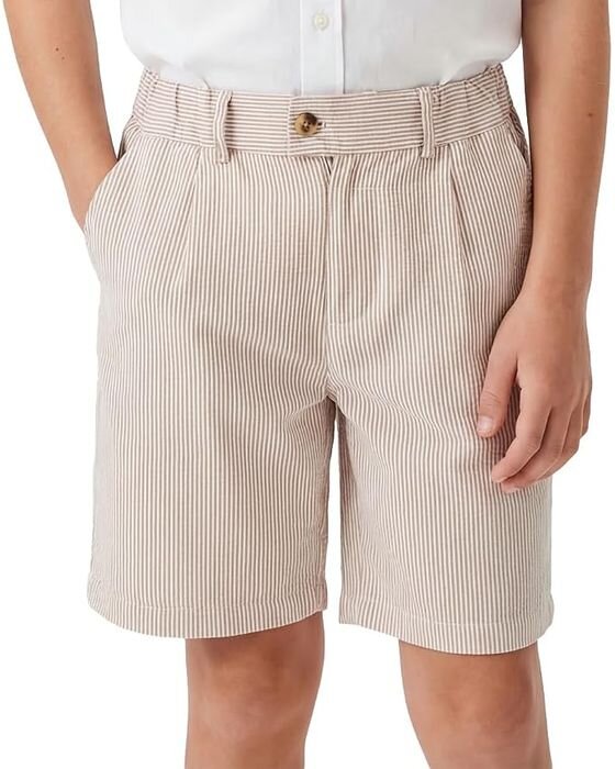 Tan Pinstripe Pleated Shorts — Young Boys fall family photo outfit idea