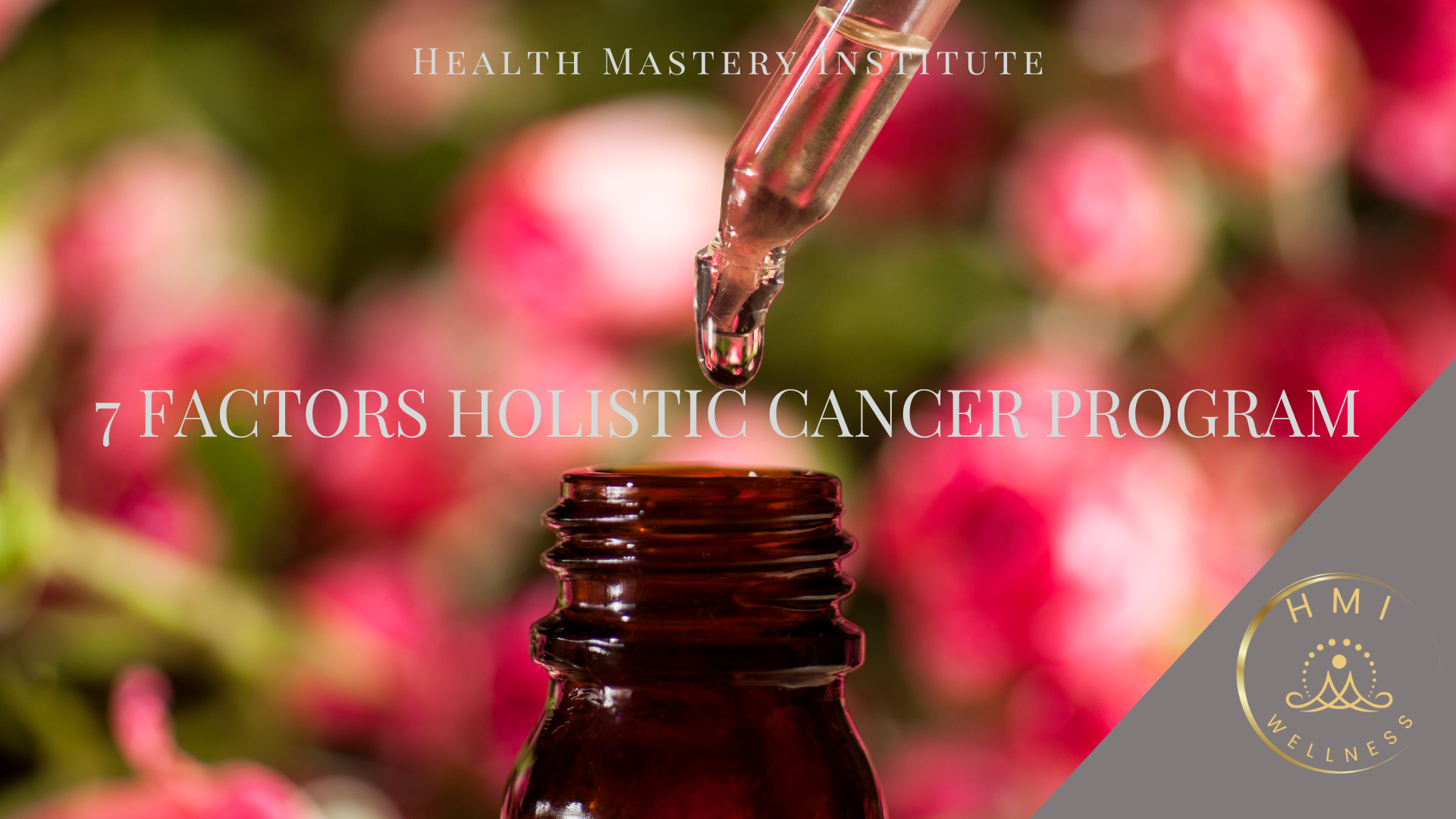 7 Factors Holistic Cancer Program
