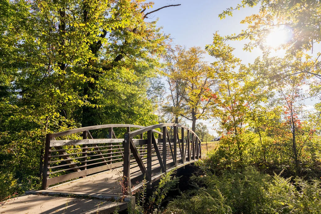 Rustic footbridge and golden fall trees at Merrill Park in Colonia, NJ